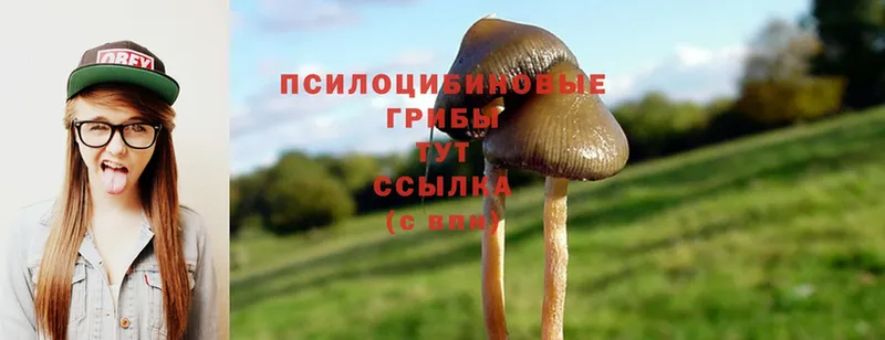 Псилоцибиновые грибы MAGIC MUSHROOMS  Углегорск 